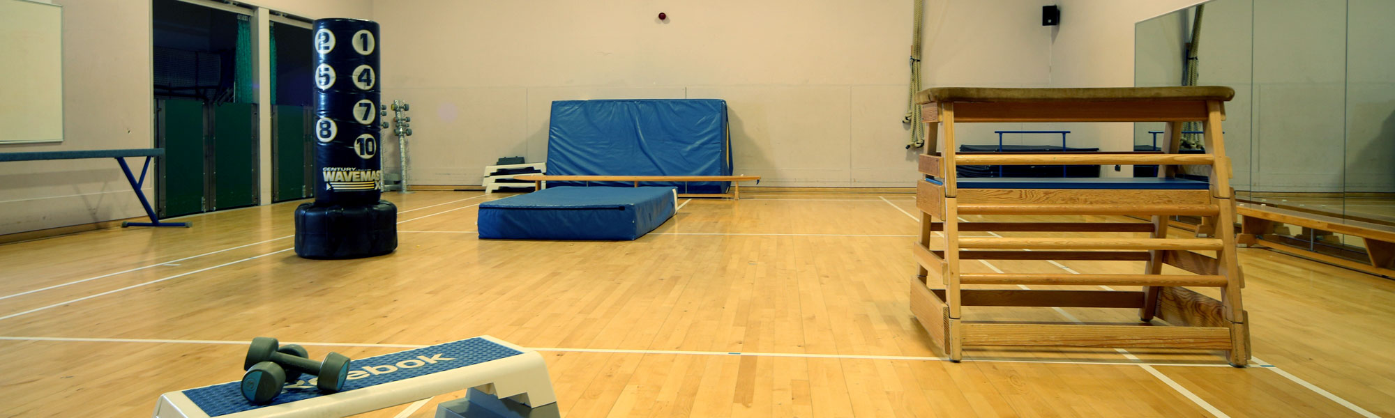 Gymnastics equipment at William Brookes School